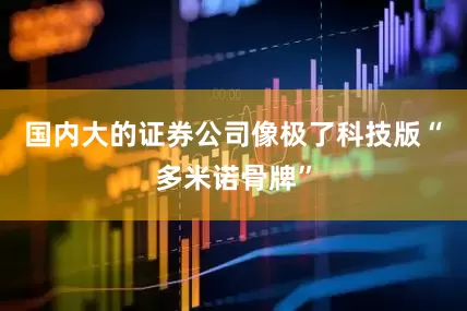 国内大的证券公司像极了科技版“多米诺骨牌”